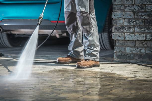 Best Fleet Vehicle Washing  in Island Walk, FL